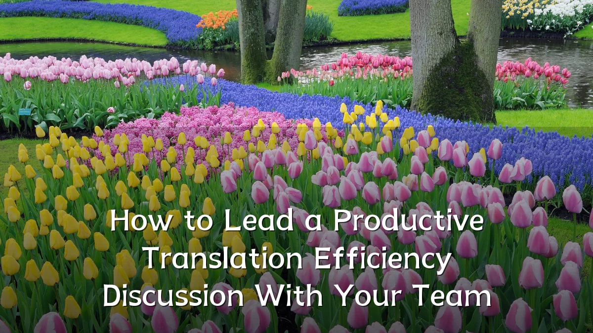 How to Lead a Productive Translation Efficiency Discussion With Your Team