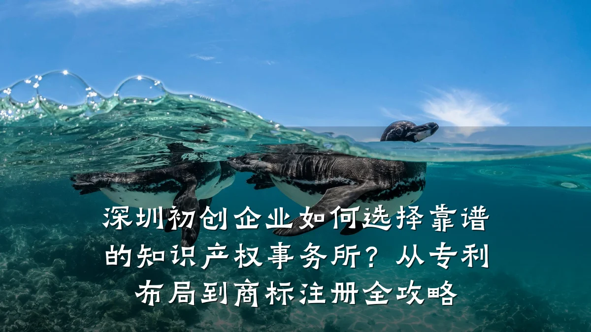 深圳初创企业如何选择靠谱的知识产权事务所？从专利布局到商标注册全攻略