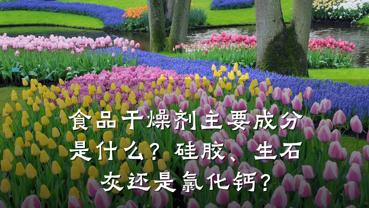 食品干燥剂主要成分是什么?硅胶、生石灰还是氯化钙?
