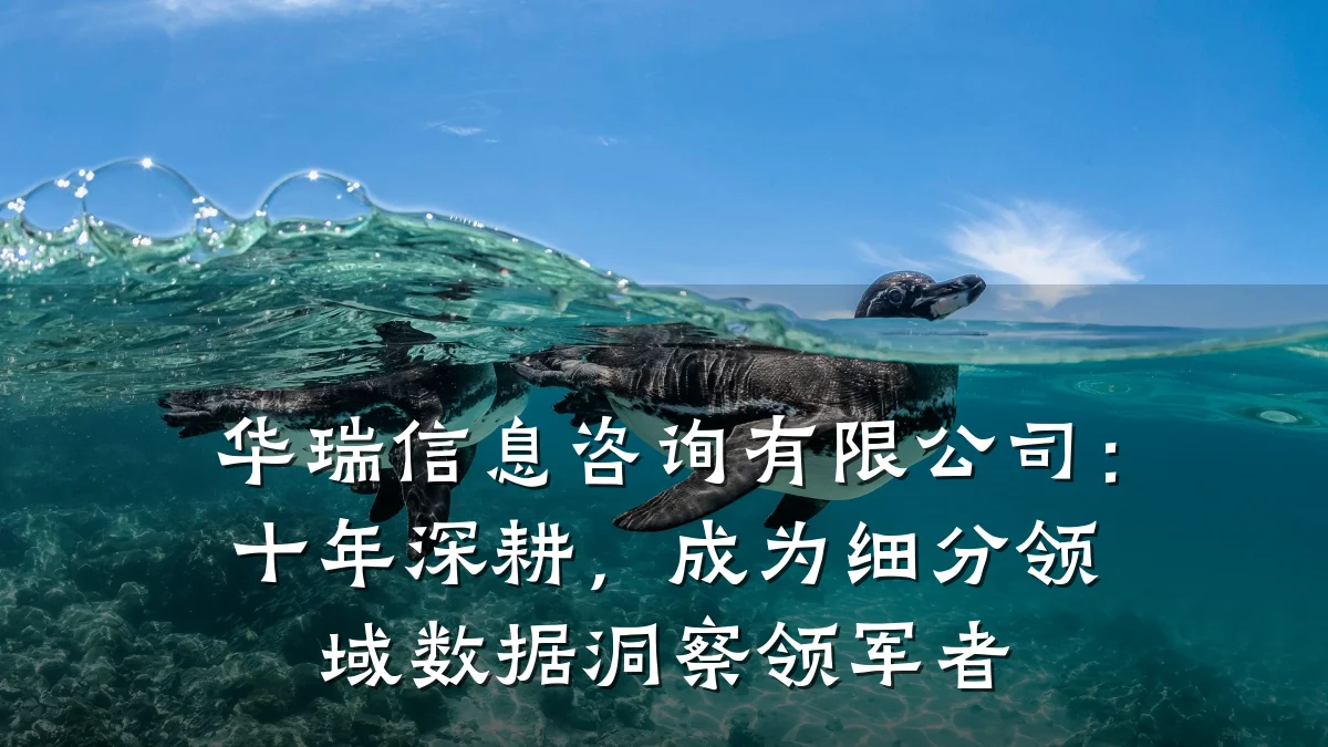 华瑞信息咨询有限公司:十年深耕,成为细分领域数据洞察领军者