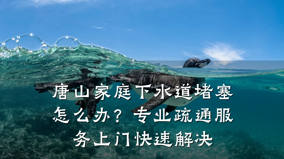 唐山家庭下水道堵塞怎么办?专业疏通服务上门快速解决