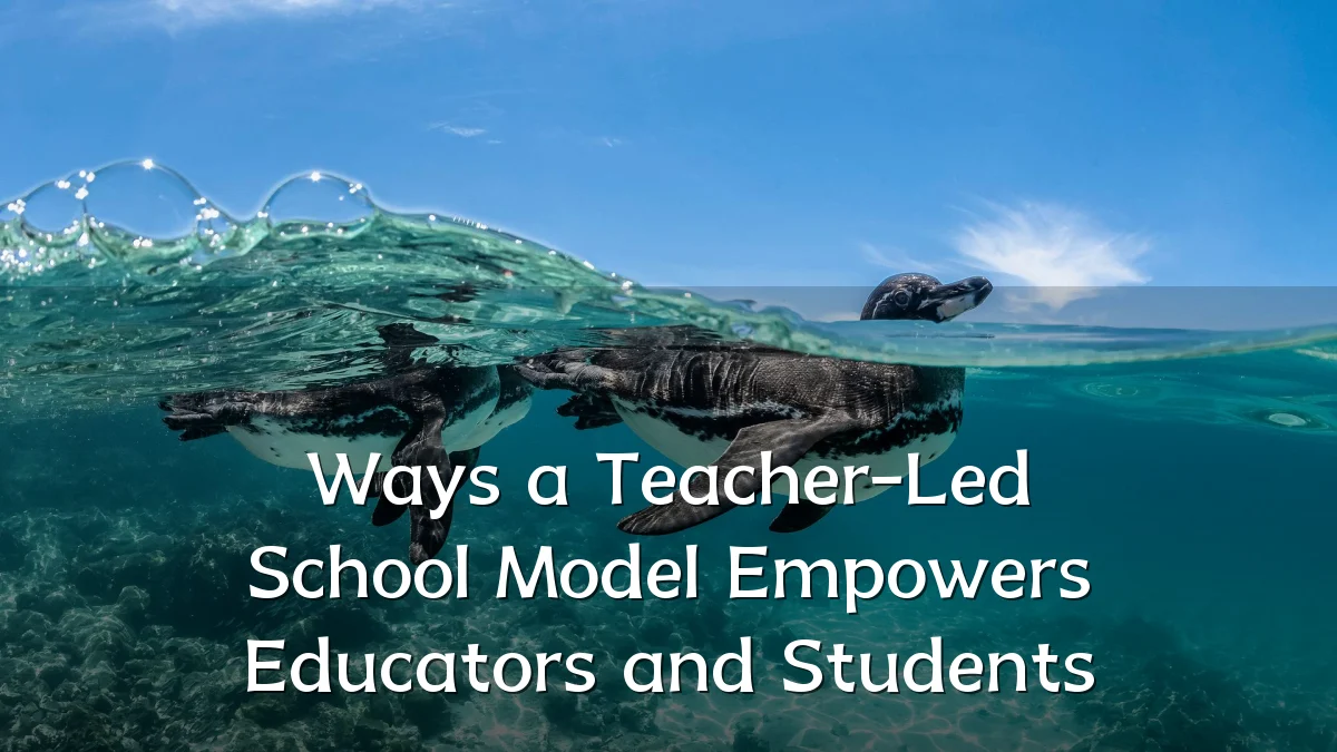 Ways a Teacher-Led School Model Empowers Educators and Students
