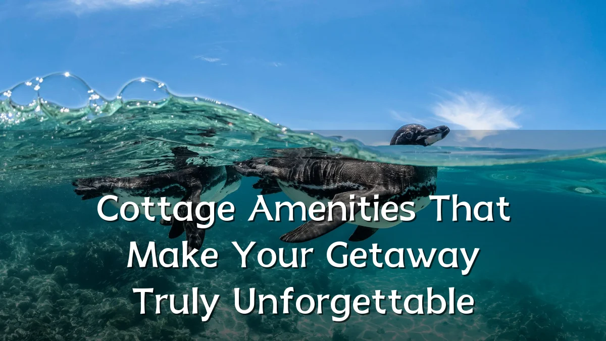 Cottage Amenities That Make Your Getaway Truly Unforgettable