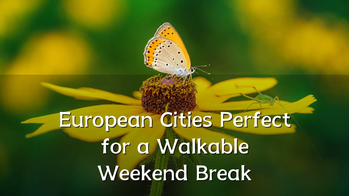European Cities Perfect for a Walkable Weekend Break