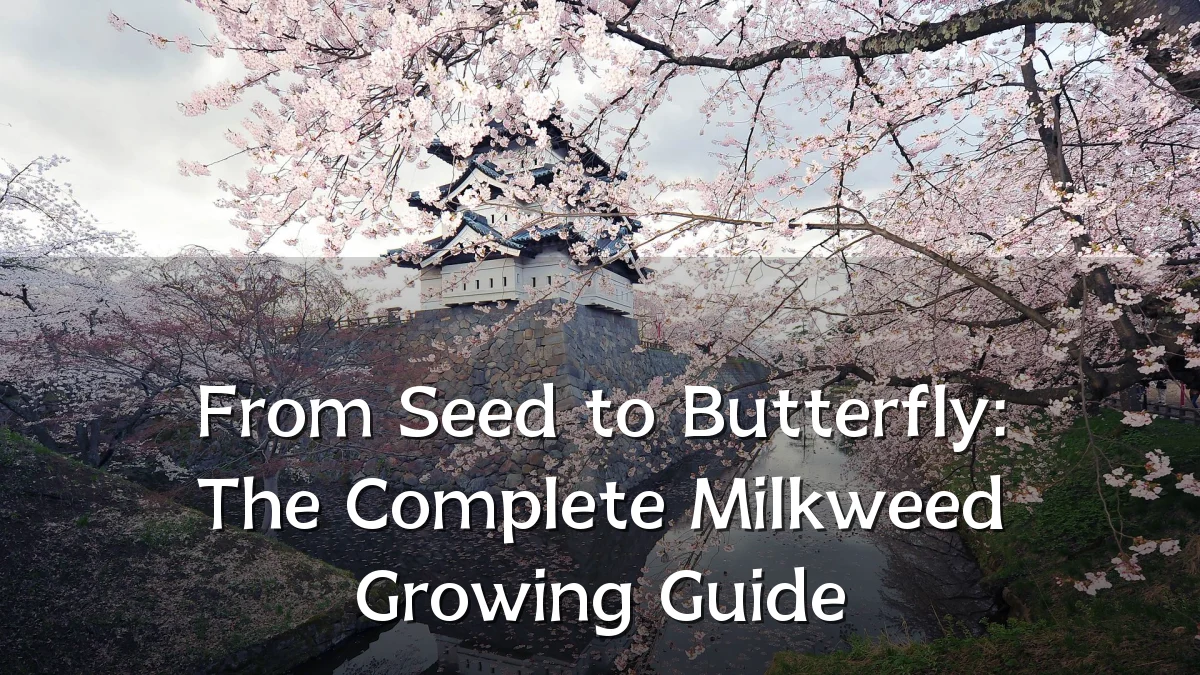 From Seed to Butterfly: The Complete Milkweed Growing Guide
