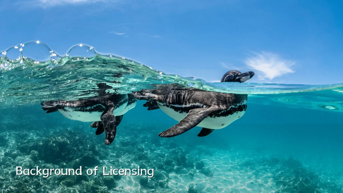 Background of Licensing