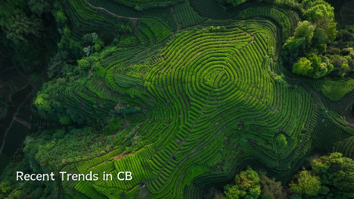Recent Trends in CB
