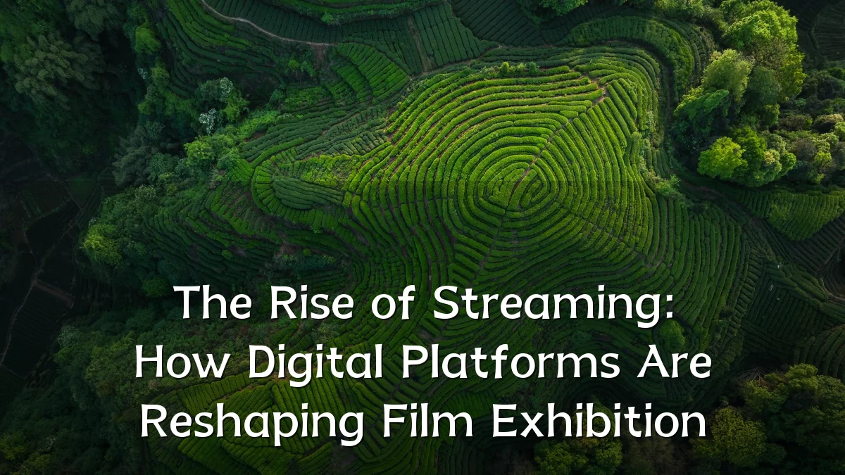The Rise of Streaming: How Digital Platforms Are Reshaping Film Exhibition