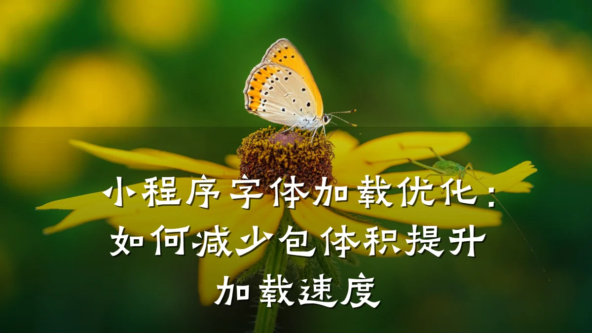 小程序字体加载优化:如何减少包体积提升加载速度