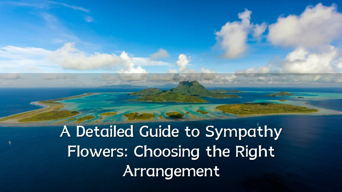 A Detailed Guide to Sympathy Flowers: Choosing the Right Arrangement