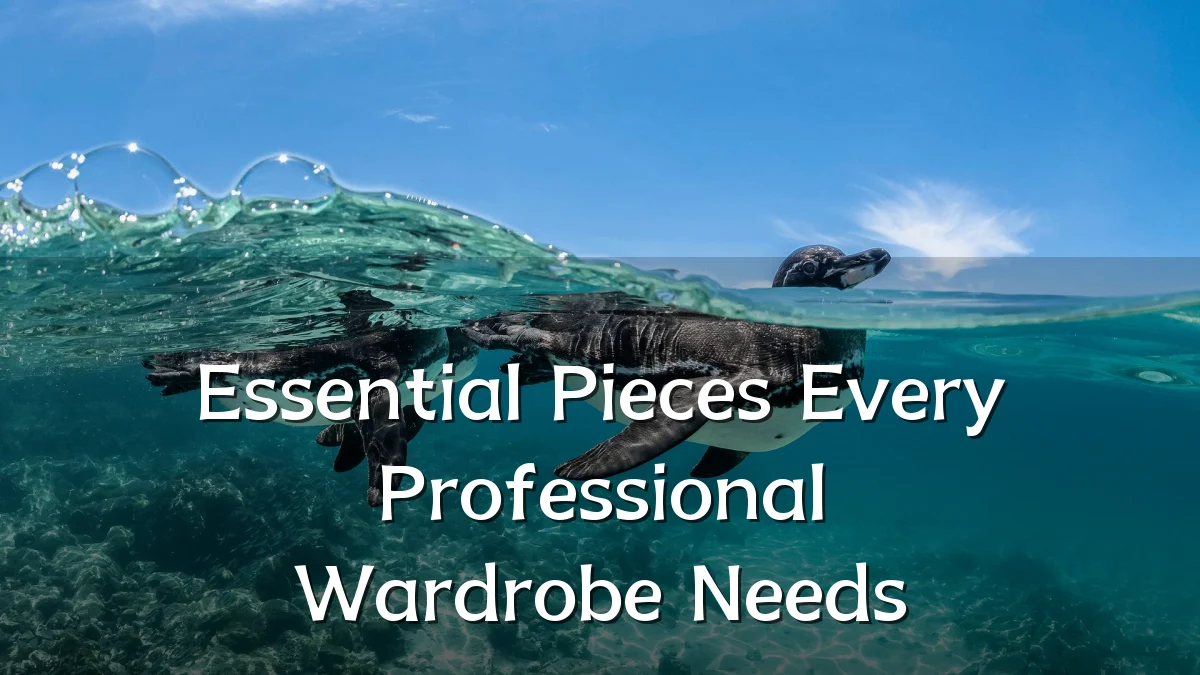 Essential Pieces Every Professional Wardrobe Needs