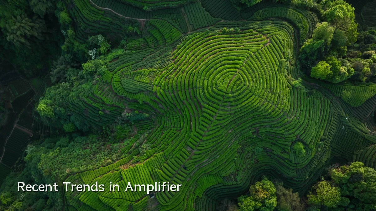 Recent Trends in Amplifier