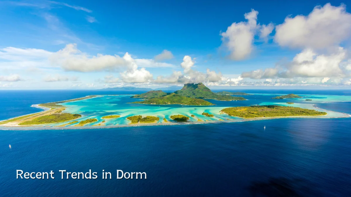 Recent Trends in Dorm