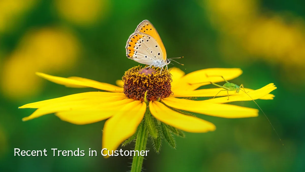 Recent Trends in Customer