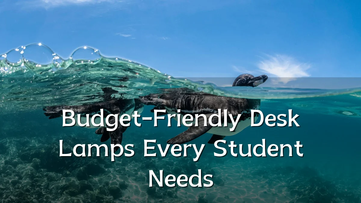 Budget-Friendly Desk Lamps Every Student Needs
