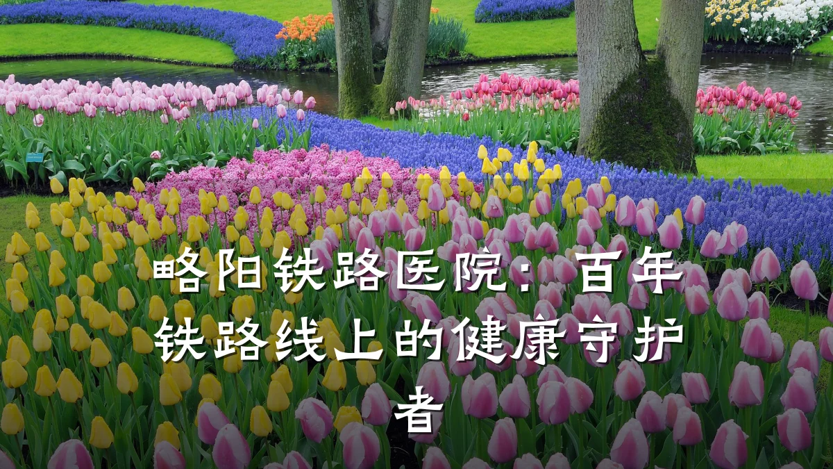 略阳铁路医院:百年铁路线上的健康守护者