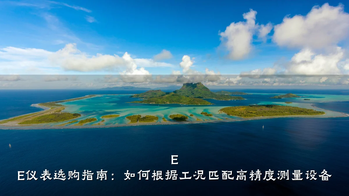 E E仪表选购指南:如何根据工况匹配高精度测量设备