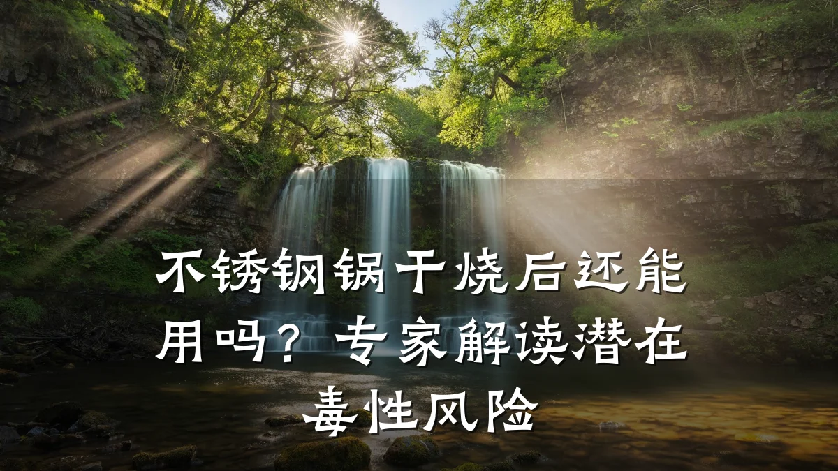 不锈钢锅干烧后还能用吗?专家解读潜在毒性风险