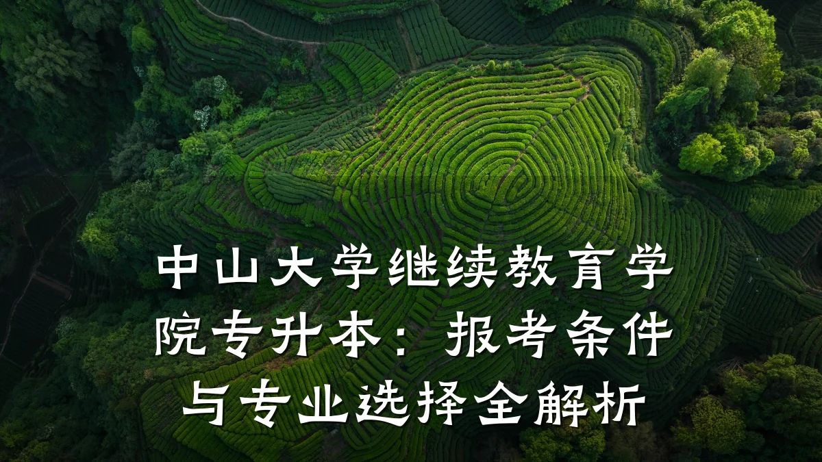 中山大学继续教育学院专升本：报考条件与专业选择全解析