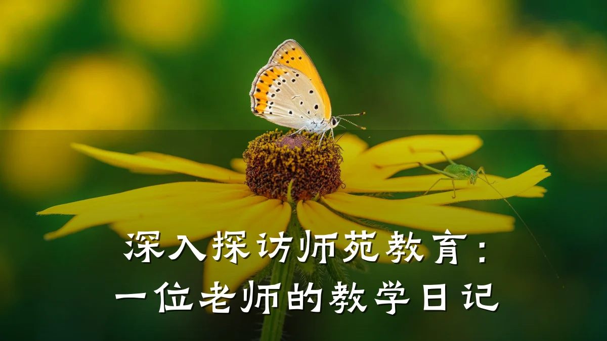 深入探访师苑教育:一位老师的教学日记