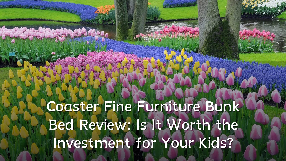 Coaster Fine Furniture Bunk Bed Review: Is It Worth the Investment for Your Kids?