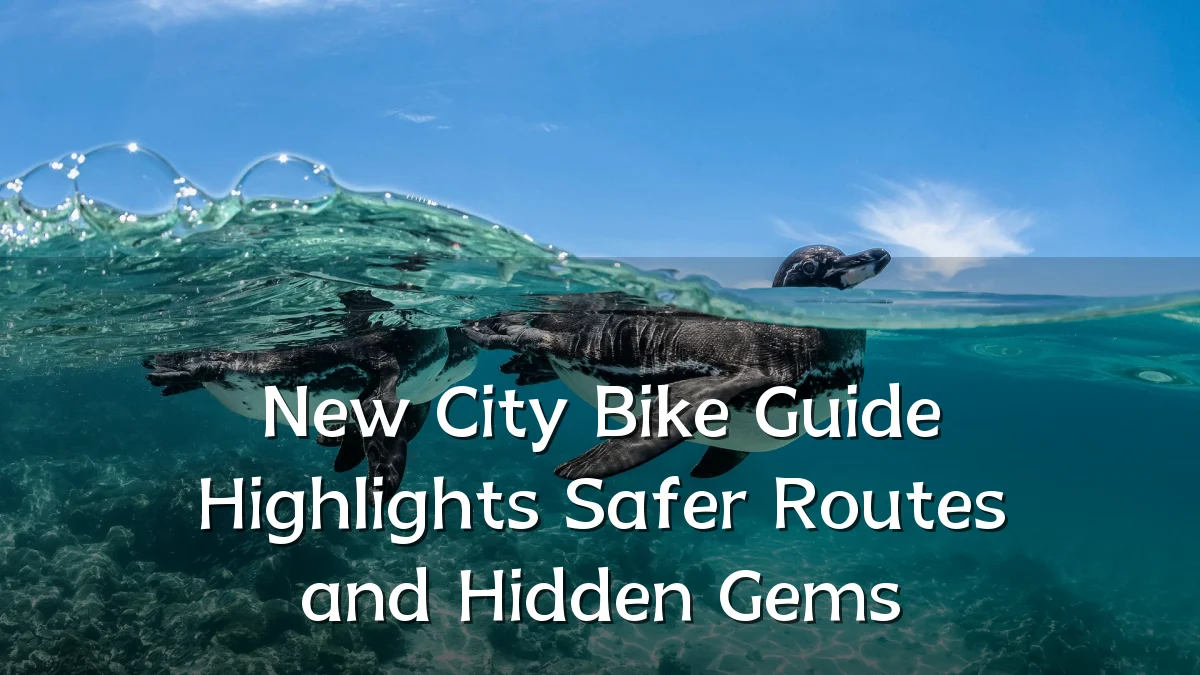 New City Bike Guide Highlights Safer Routes and Hidden Gems