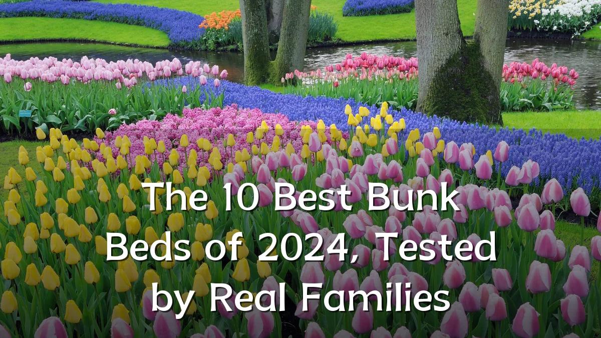 The 10 Best Bunk Beds of 2024, Tested by Real Families