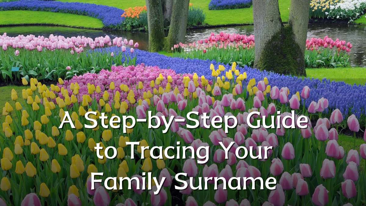 A Step-by-Step Guide to Tracing Your Family Surname