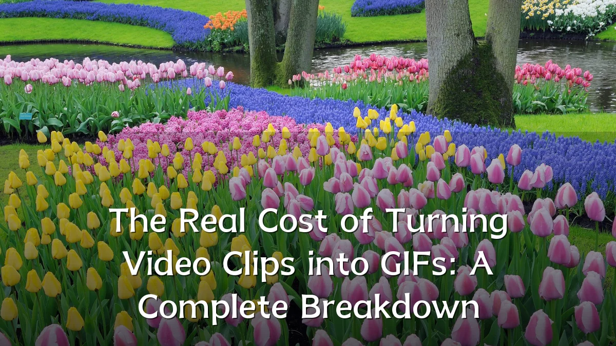 The Real Cost of Turning Video Clips into GIFs: A Complete Breakdown